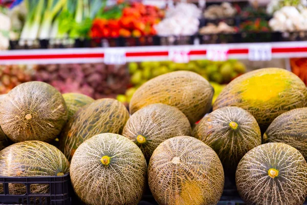 Montón Melones Verdes Amarillos Orgánicos Maduros Para Venta Tienda — Foto de Stock