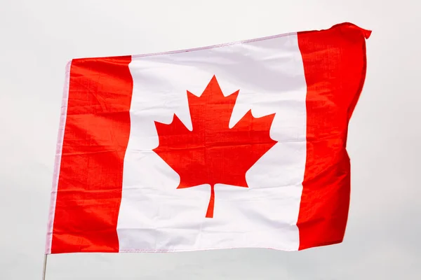 Tela Bandeira Canadá Flutters Mastro Bandeira Contra Céu Cinzento Close — Fotografia de Stock