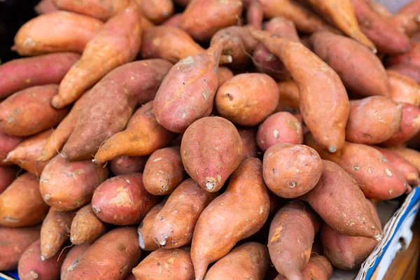 Vegetable Harvest Food Sale Concept Closeup Sweet Potatoes High Quality — Stock Photo, Image