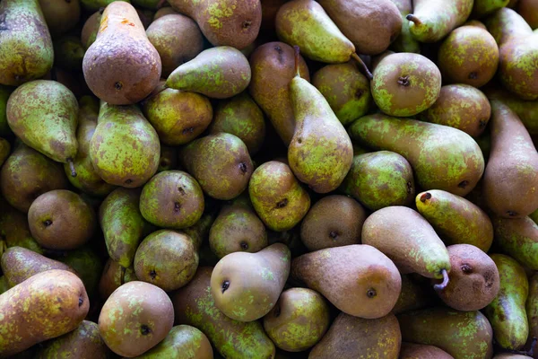 Green Winter Pears Box Sale Greengrocery — Stock Photo, Image