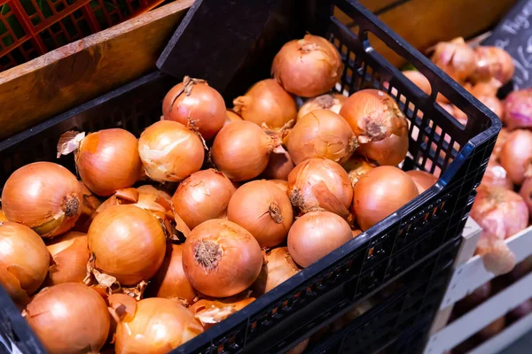 Rote Und Weiße Zwiebeln Supermarkt Hochwertiges Foto — Stockfoto