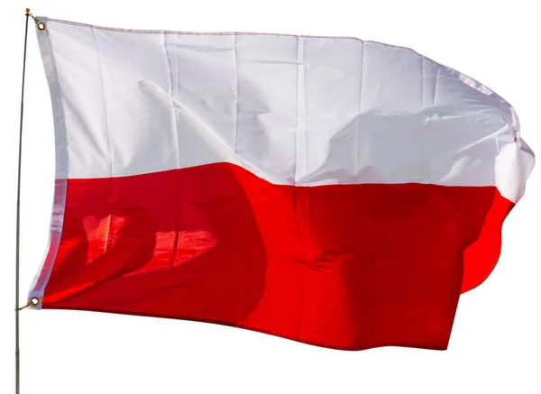 Große Polnische Flagge Weht Isoliert Über Weißem Hintergrund — Stockfoto