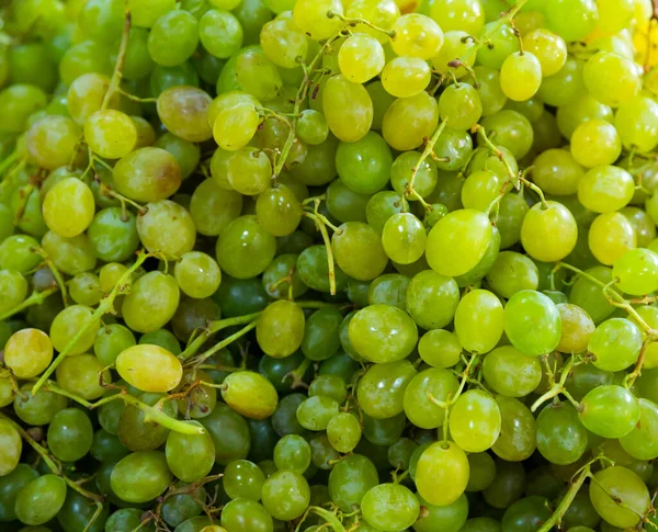 Ripe White Grapes Clusters Natural Background — Stock Photo, Image