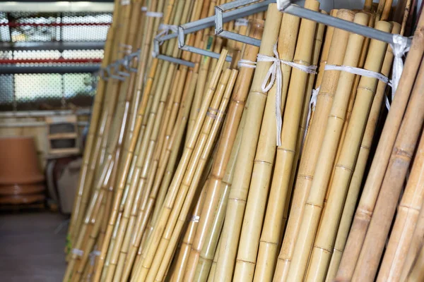 Grona Słupów Bambusowych Ogrodzie Lub Magazynie — Zdjęcie stockowe