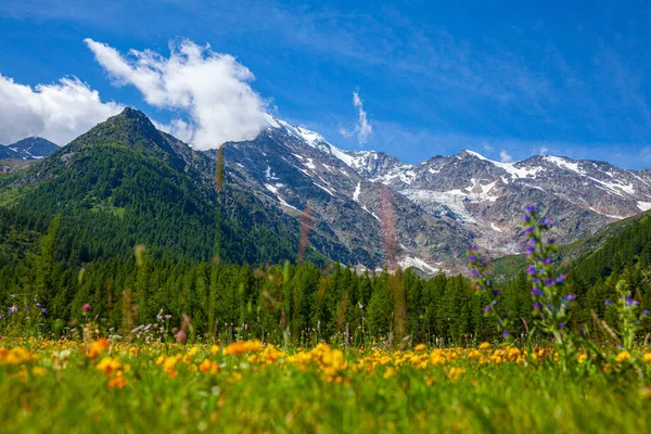 Sviçre Deki Simplon Geçidinden Manzara — Stok fotoğraf