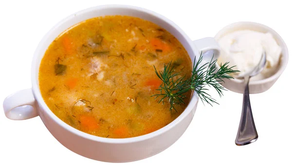 Hidangan Rusia Nasional Adalah Sup Pickle Dengan Daging Dimasak Atas — Stok Foto