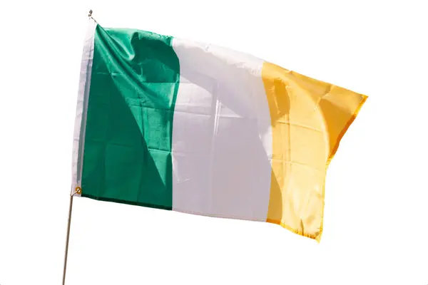 Bandera Irlandesa Ondea Orgullosamente Viento Aislado Sobre Fondo Blanco — Foto de Stock