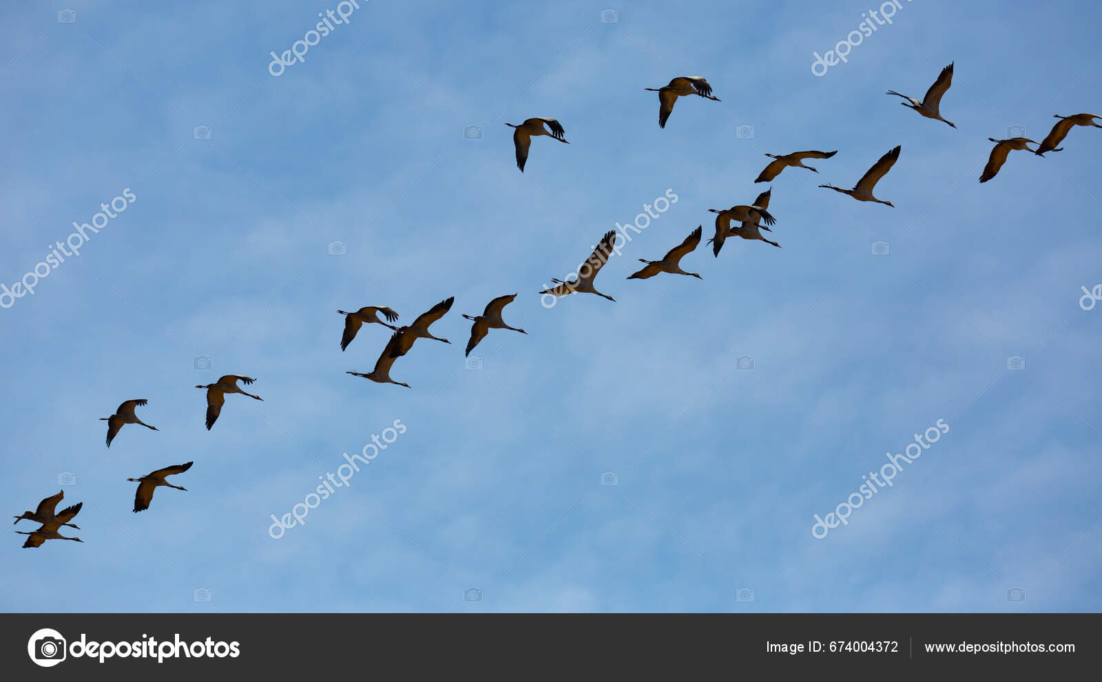 Kraniche Fliegen Brutgebiete Saisonaler Vogelzug Frühling -  Stockfotografie: lizenzfreie Fotos © Jim_Filim 674004372 | Depositphotos