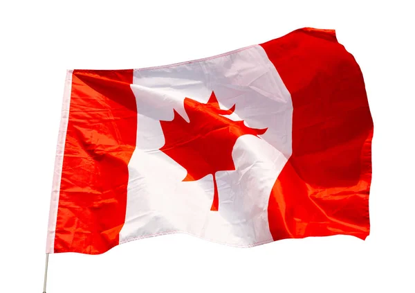 晴れた晴れた日には カナダの国旗は青空に飛んでいます カナダの旗は旗のポールに飛んでいます — ストック写真