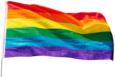 Huge flag of LGBT attached on long handle. Isolated over white background clipart