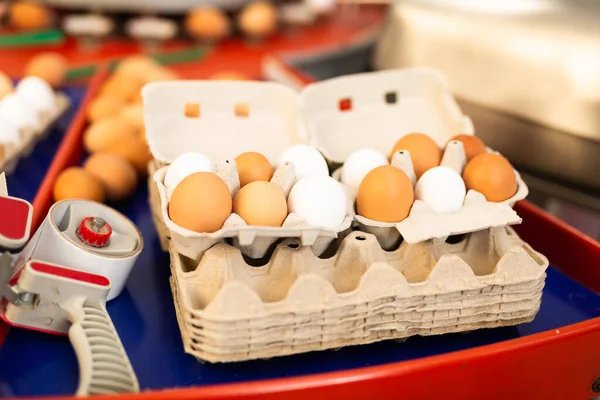Closeup Cardboard Trays Fresh Organic White Brown Chicken Eggs Sorting — Stock Photo, Image