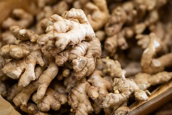 Ginger roots. Closeup of raw ginger roots. Popular seasoning in worldwide cuisines