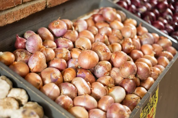 Pile Raw Onions Lie Counter Vegetable Store — Stock Photo, Image