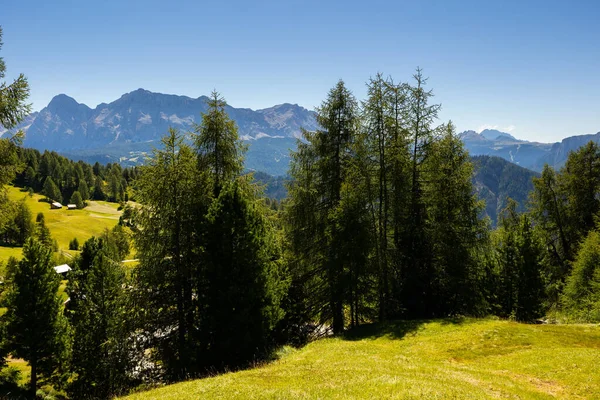 晴れた夏の日のイタリアのドロマイトの高い岩の頂上と緑豊かな森の斜面の景色 — ストック写真