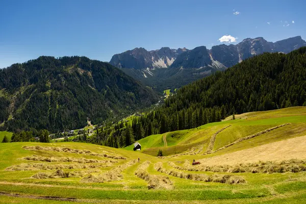 晴れた夏の日には 広大なアルプスの牧草地と評判の良い森林の緑に囲まれた岩山の山頂を特徴とする息をのむような景色 ドロマイトの魅惑的な性質 イタリア — ストック写真