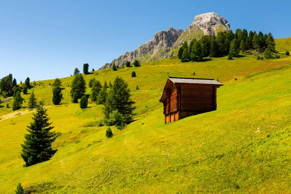 Maisons Rares Dépendances Sur Les Coteaux Près Col Goma Dolomites — Photo