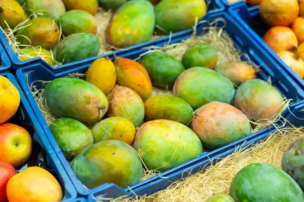 Ramo Mangos Dulces Encuentran Mostrador Tienda Verduras — Foto de Stock