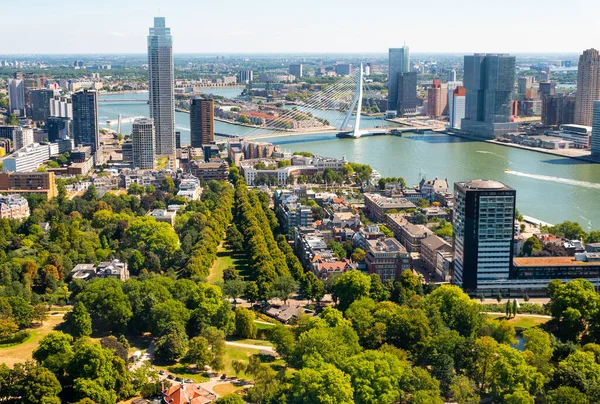 Malowniczy Widok Lotu Ptaka Nowoczesny Pejzaż Miasta Rotterdam Obu Brzegach — Zdjęcie stockowe
