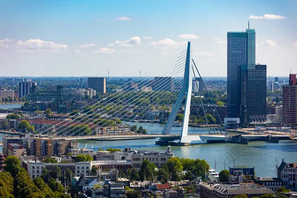 Rotterdam Netherlands City Skyline Beautiful Sunny Day — Stock Photo, Image