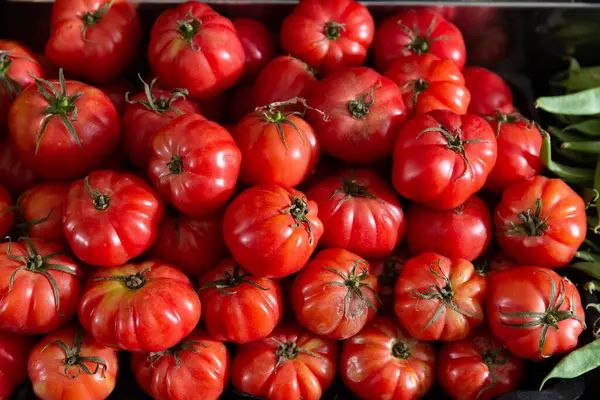 Récolte Tomates Fraîches Mûres Exposées Vente Dans Magasin Sur Comptoir — Photo