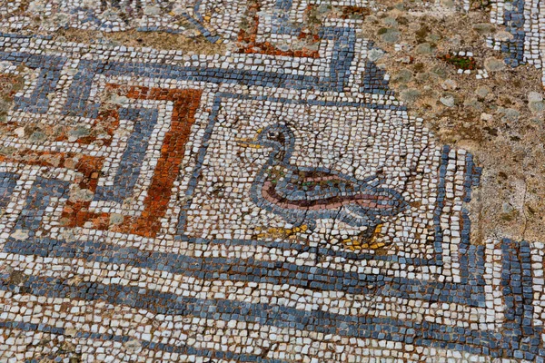 Antique mosaic on floor, destroyed buildings. Detail of geometric mosaic. Ephesus. Turkey
