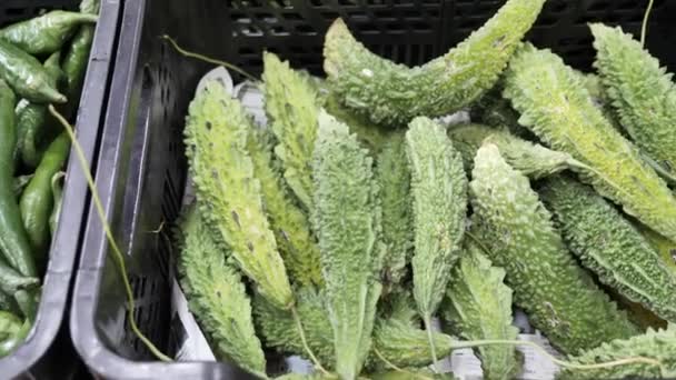 Közelkép Zöld Keserű Dinnyékről Zöldségesdobozban Szabadtéri Élelmiszerpiacon — Stock videók