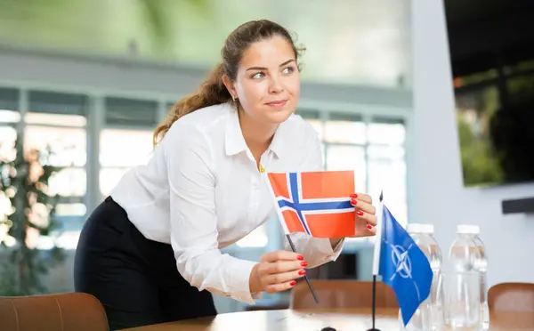 Forberedelser Til Forretningsforhandlinger Kvinne Setter Små Flagg Land Nato Norge – stockfoto