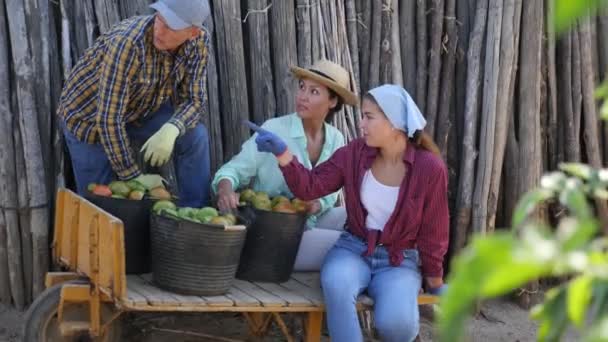 Tým Veselých Zemědělských Dělníků Kteří Létě Věnovali Sklizni Rajčat Přátelsky — Stock video
