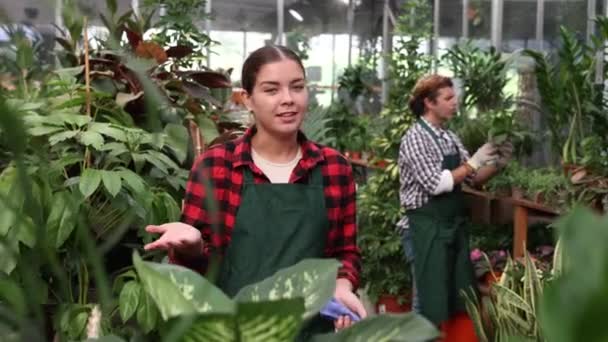 Retrato Uma Jovem Horticultora Avental Uma Estufa Flores Imagens Alta — Vídeo de Stock