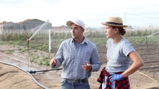 Ein Paar Bauern Besprechen Einem Sommertag Den Arbeitsplan Auf Dem — Stockvideo