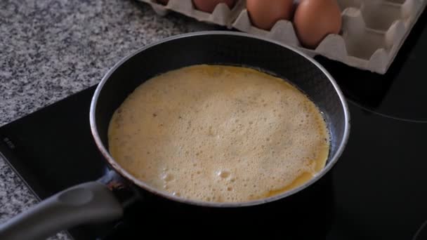 Cooking Fried Omelet Herbs Frying Pan Breakfast — Stock Video