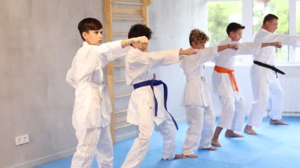 Skoncentrowany Nastolatek Białym Kimono Ćwiczący Uderzenia Siłowni Podczas Grupowego Treningu — Wideo stockowe