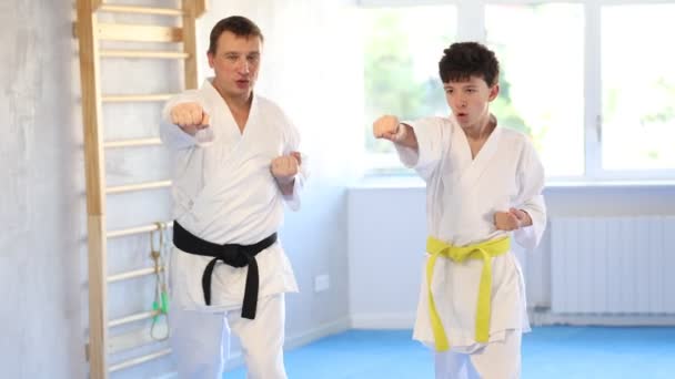 Sportive Teen Boy Wearing Kimono Training Karate Techniques Workout Session — Stock Video