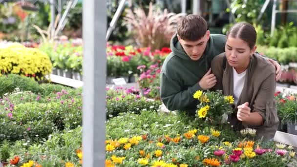 Birkaç Müşteri Merakla Açık Hava Bitki Gazanyasıyla Vitrin Sergisini Inceliyor — Stok video