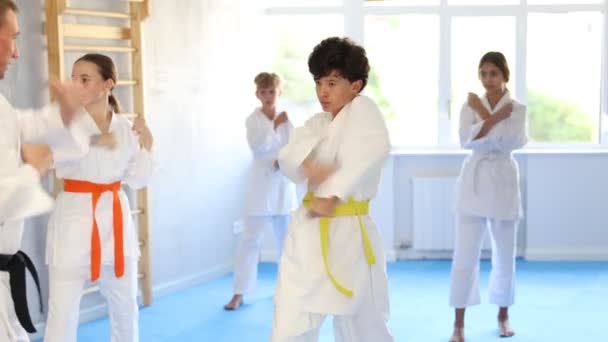 Děti Kimonu Stojící Bojovém Postoji Během Skupinového Tréninku Karate — Stock video