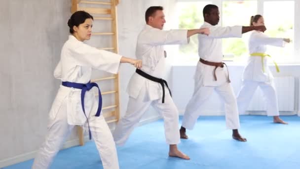 Insegnante Karate Kata Conduce Lezioni Esegue Movimenti Tecniche Combattimento Insieme — Video Stock