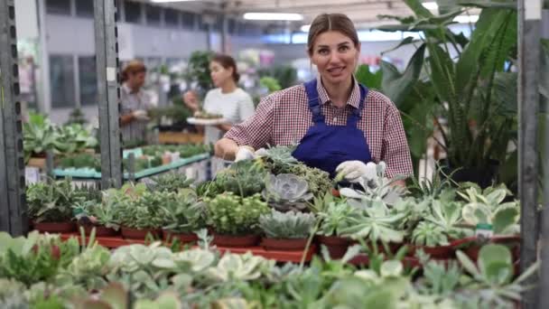 女性の花スーパーマーケットの労働者は問題のある植物を検出するために簡素なパレットを検査します 商品の品揃えを知るための装飾工場の新入社員 — ストック動画