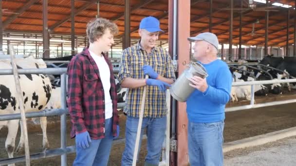 Gruppenbild Von Drei Milchbauern Unterschiedlichen Alters Kuhstall — Stockvideo