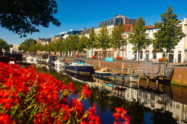 Mark River Vall Breda Nederländerna Utsikt Över Röda Blommor Blom — Stockfoto