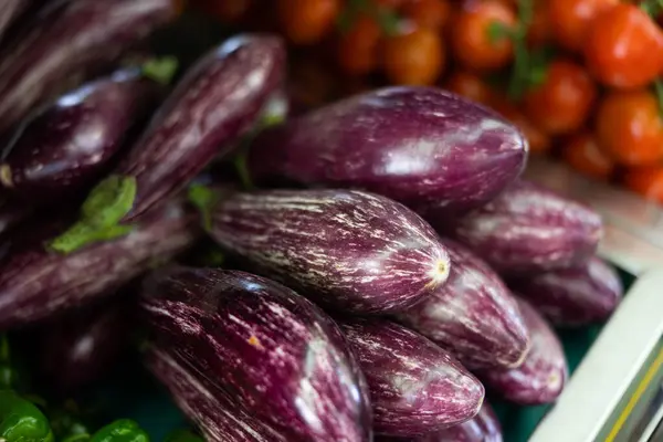 Fresh Eggplants Laid Out Nicely Sale Market — Stock Photo, Image