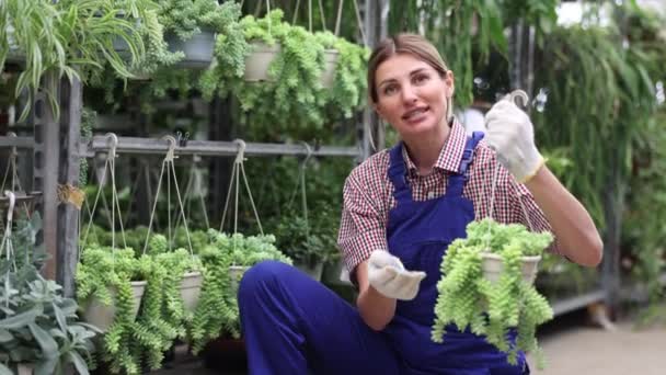 Saleswoman Dans Boutique Fleurs Familiarise Avec Assortiment Examine Pot Avec — Video