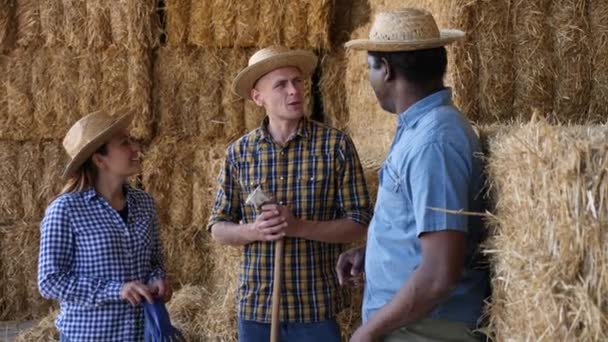 Τρεις Χαμογελαστοί Αγρότες Που Ποζάρουν Στο Hayloft Ξεκουράζονται Μια Φάρμα — Αρχείο Βίντεο