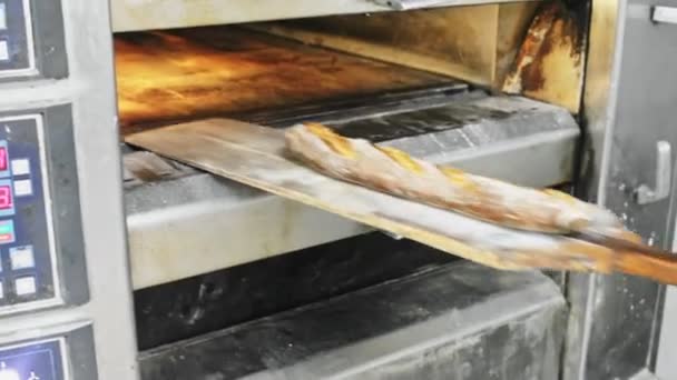 ベーキングパン ベイカーは 木製のシャベルに工業用オーブンから完成したバゲットを取り出します 高品質のフルHd映像 — ストック動画