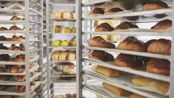 Свіжий Запечений Хліб Стелажах Пекарні Високоякісні Fullhd Кадри — стокове відео