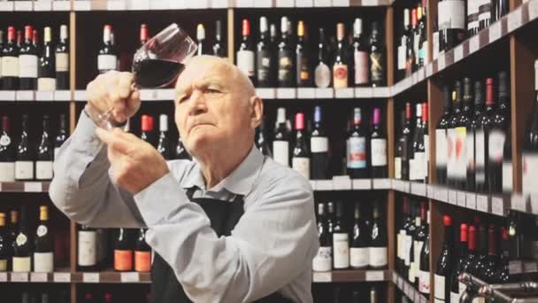 Retrato Hombre Mayor Sommelier Profesional Degustación Vinos Tintos Tienda Vinos — Vídeo de stock