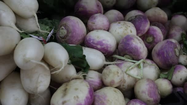 Çiftçi Pazarında Şalgam Yığını Yüksek Kaliteli Fullhd Görüntüler — Stok video