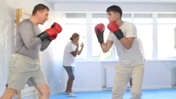 Adult Man Young Man Training Boxing Punches Kicks Studio — Stock Video