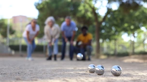 Bir Grup Çok Irklı Yetişkin Insan Parkta Patanque Oyunu Oynuyor — Stok video