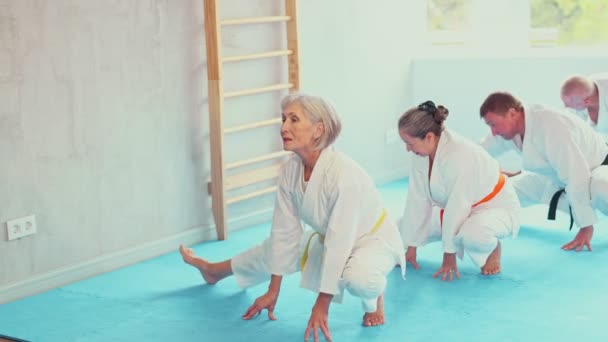 Visitatori Anziani Con Atleti Mezza Età Kimono Preparano Lezione Arti — Video Stock