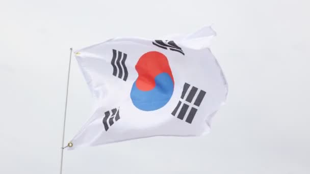 Corea Del Sud Bandiera Sventola Contro Cielo Blu Pulito Vicino — Video Stock